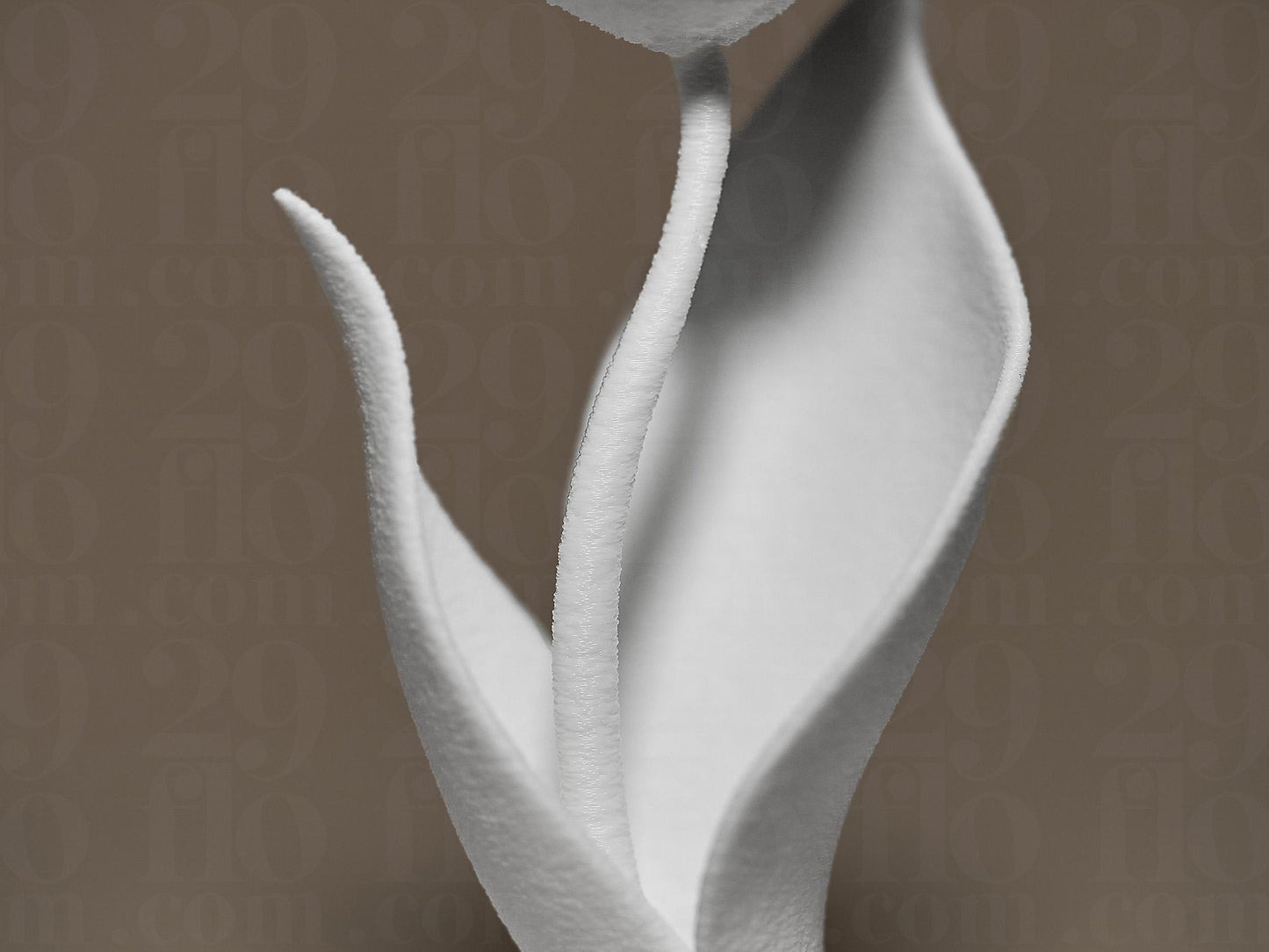 Modern Tulip Flower 3D Printed Sculpture, Statue, Figure, Figurine Home Decoration